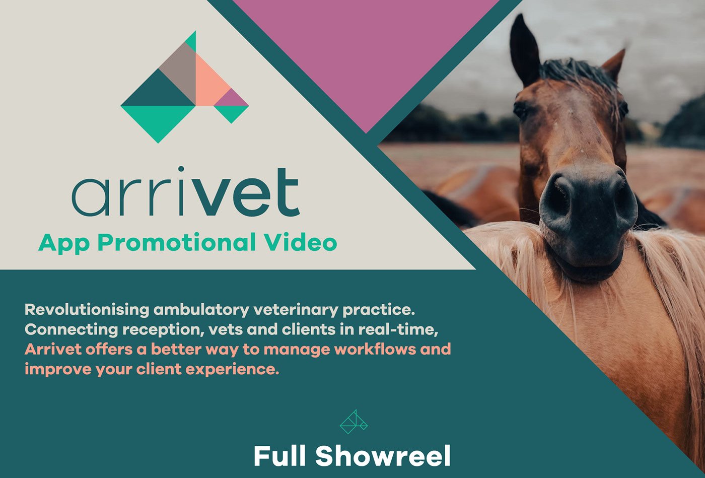 App Promotional Video by Lekker Creative, image 1